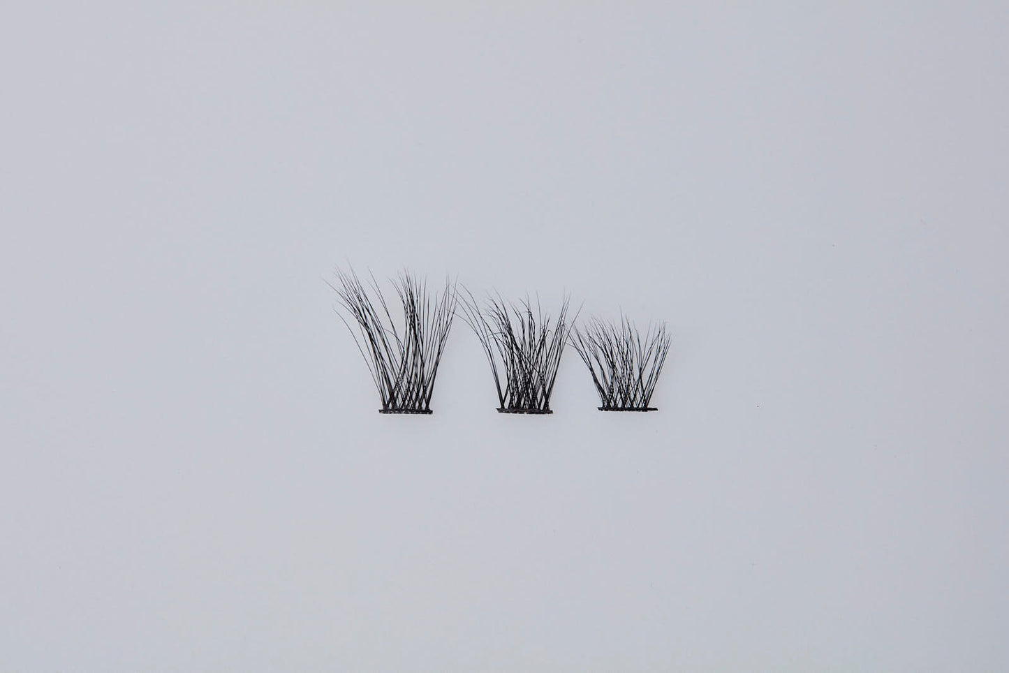Pestañas - Paz